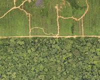 Gabon juggles competing demands in fight to protect nature