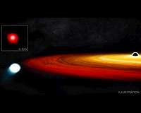 Star survives close call with a black hole