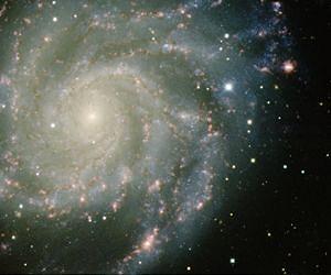 Supernova Caught in the Act