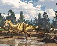 Rise of dinosaurs linked to increasing oxygen levels