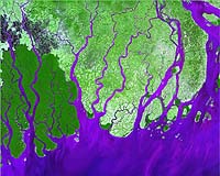 Climate change: Asia's mega-deltas in frontline from flood risk
