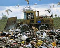 GM to make biofuel out of garbage
