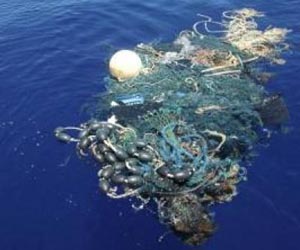 Global efforts to clean oceans have failed