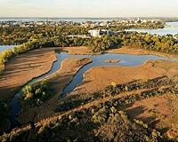 Dinosaur-era plant found growing in Wisconsin lakes