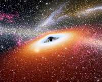 A stripped helium star solves the massive black hole mystery