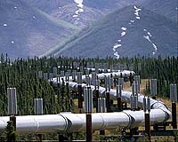Russia holds off on further gas talks with EU, Ukraine