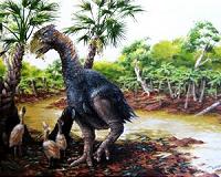Study confirms giant flightless bird wandered the Arctic 50 million years ago