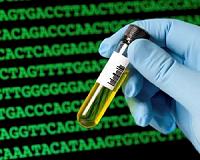 Human genetic research with Chinese characteristics