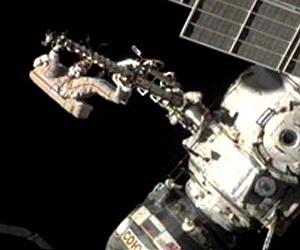ISS and space flight gravity influence immune system development
