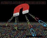 Minimalist cells: Scientists strip genome down to essentials