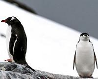 Climate change does not bode well for picky eaters