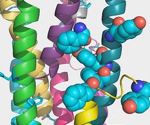 Structure of bacterial nanowire protein hints at secrets of conduction