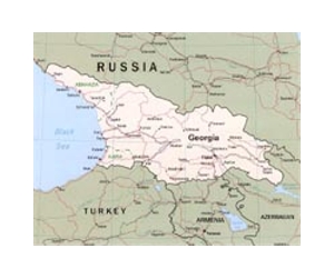 NATO says Georgia polls a 'litmus test' for democracy