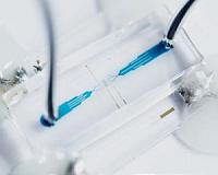 Cellphone principles help microfluidic chip digitize information on living cells