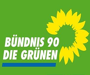 German Greens say state triumphs just the beginning