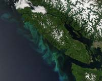 Nitrogen And Phosphorus Reductions Needed To Combat Eutrophication