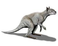 Giant kangaroo had crushing bites