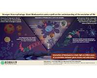 The giant virus and the emergence of complex life