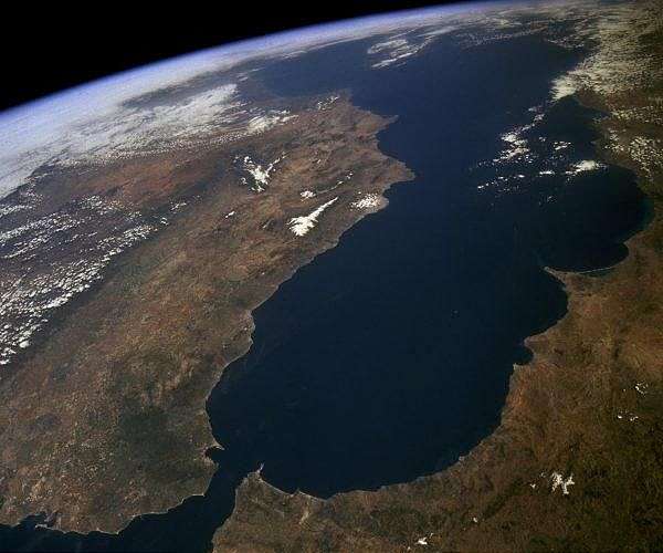 Underwater heat 'inferno' ravages Mediterranean corals
