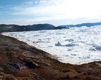 Tiny Frozen Microbe May Hold Clues To Extraterrestrial Life