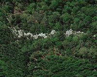 Climate relicts may help researchers understand climate change