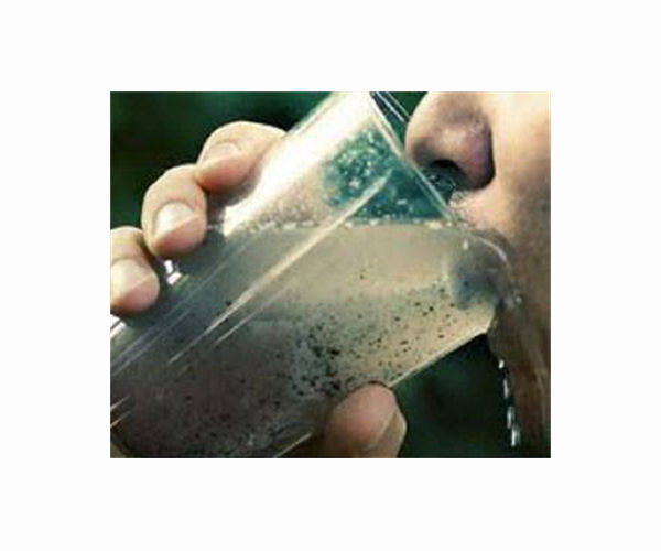 Filter made from a tree branch cleans contaminated water