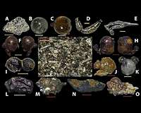 Glassy menagerie of particles in beach sands near Hiroshima is fallout debris