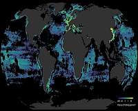 Vessel tracking exposes the dark side of trading at sea