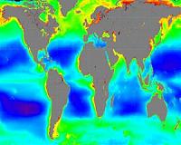 Oceans worth $24 trillion, but sea change needed to save them says WWF