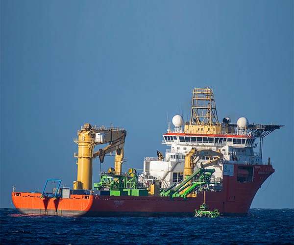 Whale warning as clock ticks towards deep-sea mining