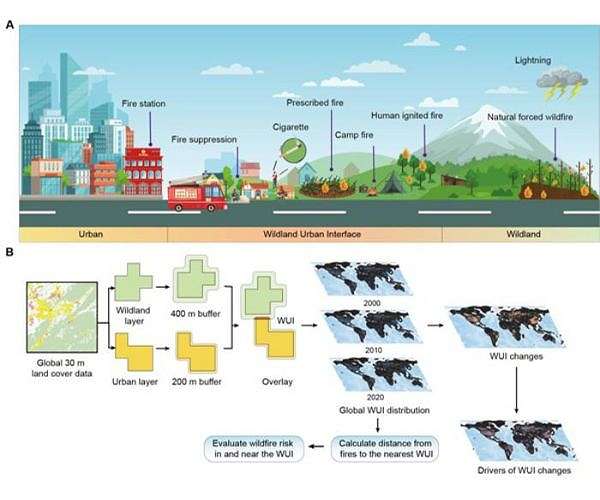 Rapid expansion of wildland-urban interface linked to wildfire risks worldwide study finds