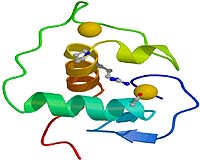 Protein Big Bang