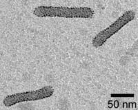 MU Scientists Go Green With Gold, Environmentally Friendly Nanoparticles