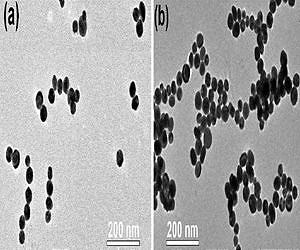 Scientists see nanoparticles form larger structures in real time