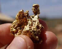 Bacteria with Midas touch for efficient gold processing