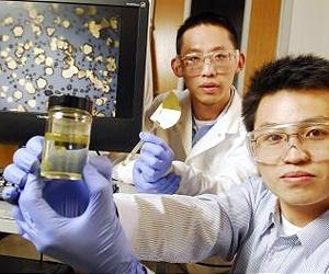 Organic Solvent Helps Catalyst Recycling Creates New Nanomedicines