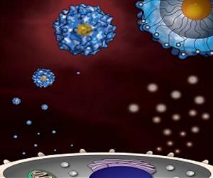 Scientists team with business innovators to solve 'big data' bottleneck