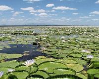 Conflict and drought threaten Mozambique's Gorongosa park