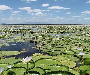 Biodiversity In Danger: Which Areas Should Be Protected?