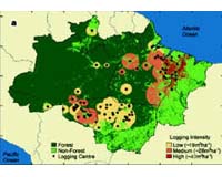 Brazil plans to cut deforestation by 70 pct over 10 years