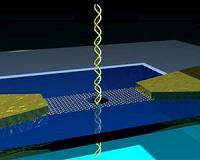 Graphene nanoribbons as electronic switches