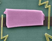 Exploring new spintronics device functionalities in graphene heterostructures