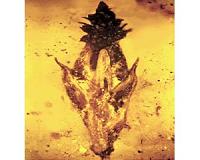 Amber fossil links earliest grasses, dinosaurs and fungus