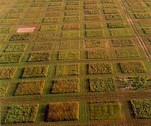 Ecologists Call for Preservation of Planet's Remaining Biological Diversity