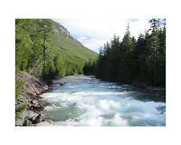 For nature, gravel-bed rivers critical feature in western North America