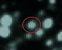Searching for Far Out and Wandering Worlds
