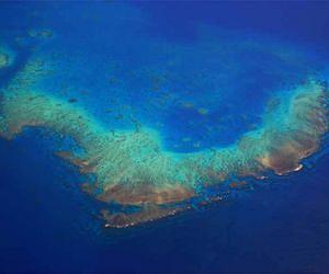 Glimpse into the future of acidic oceans shows ecosystems transformed