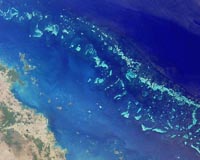 Environmentalists criticise Australia reef protection plan