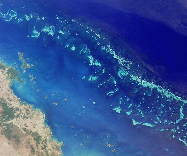 Intervention 'could buy 20 years' for declining Great Barrier Reef