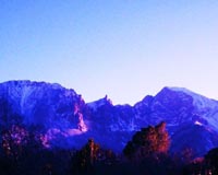 Sky Islands: Metaphor Or Misnomer